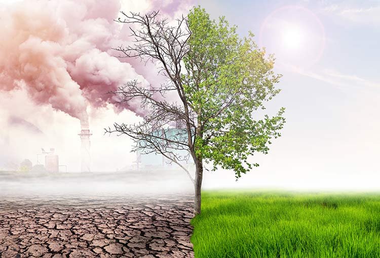 comparing-green-earth-effect-air-pollution-from-human-action-glbal-warming-concept-green-tree-green-earth-with-light-arid-land-with-air-pollusion-background